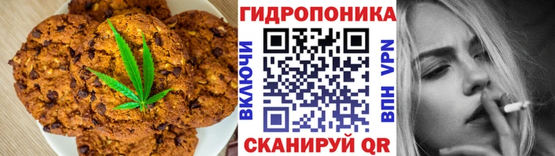 продажа наркотиков  Вельск  ссылка на мегу зеркало  маркетплейс состав  Cannafood марихуана 