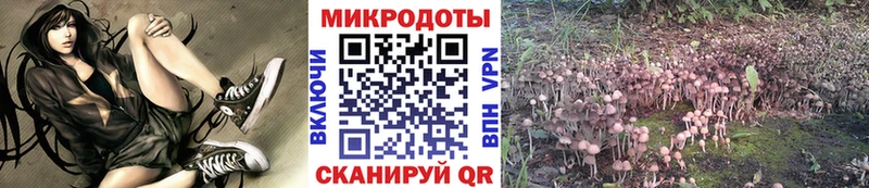 цена наркотик  Вельск  Псилоцибиновые грибы GOLDEN TEACHER 